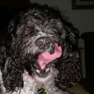 Meet your Posher, Inaya